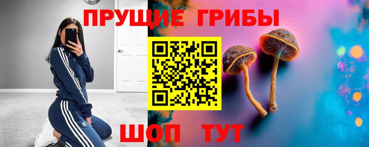 Псилоцибиновые грибы ЛСД  Вход с VPN  Мариинск 