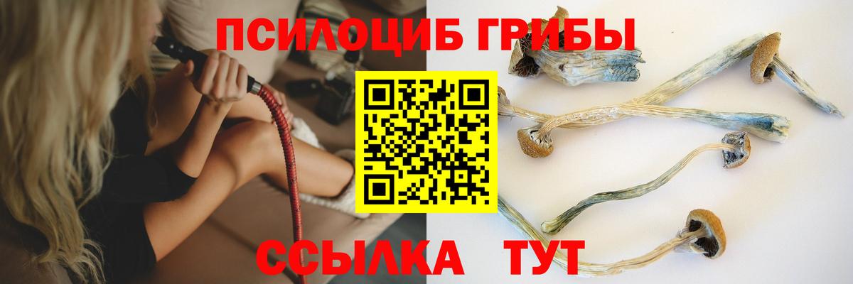Псилоцибиновые грибы ЛСД Мариинск